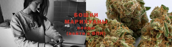 спиды Михайлов