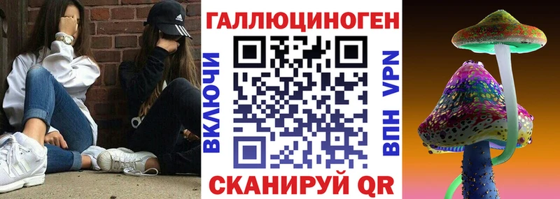 Галлюциногенные грибы Cubensis  Тейково 
